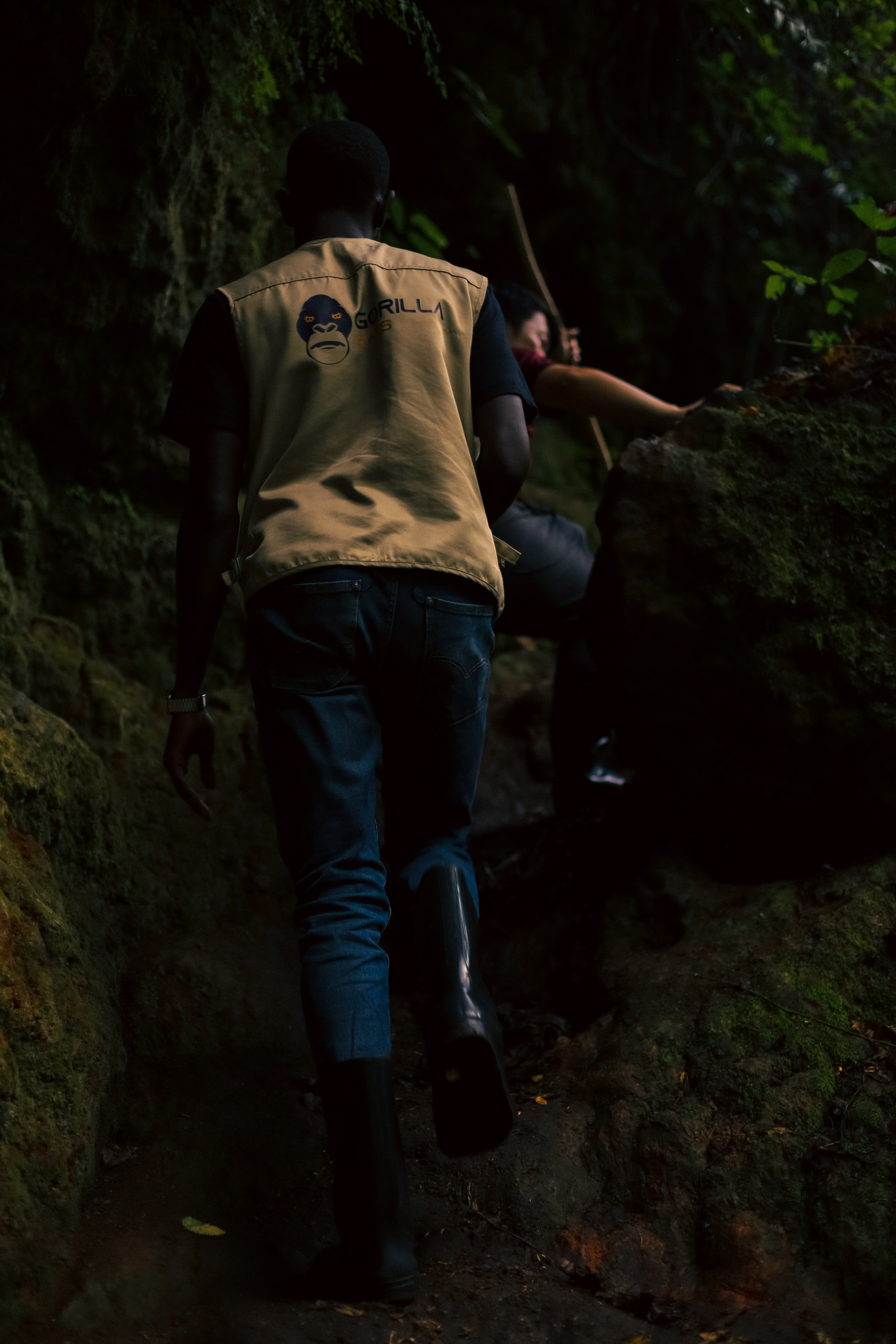 Guided Forest Trek
