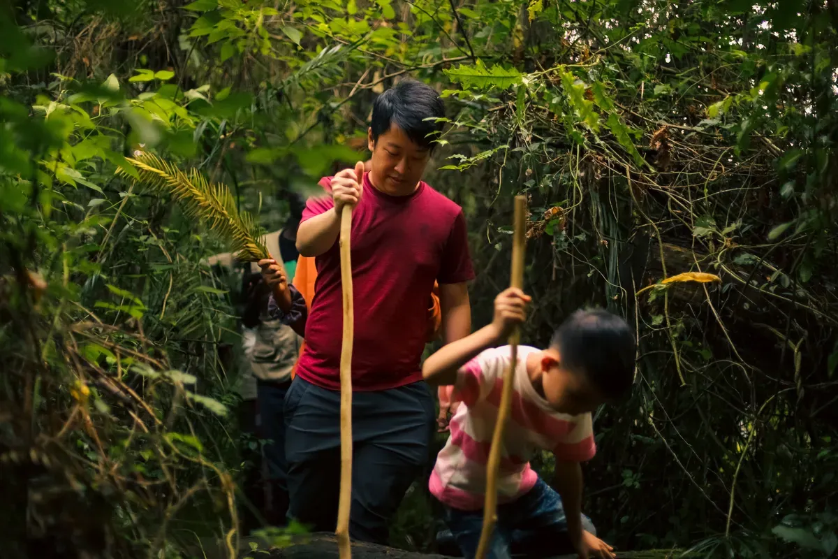 Forest Trekking Adventure