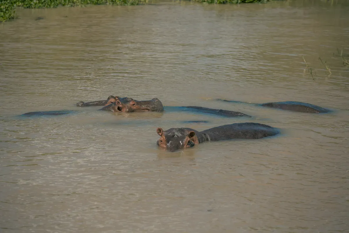 Murchison Falls Adventure 3