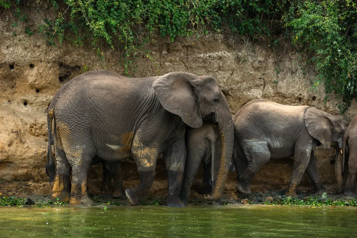 East Africa Grand Bitcoin Safari Expedition 4