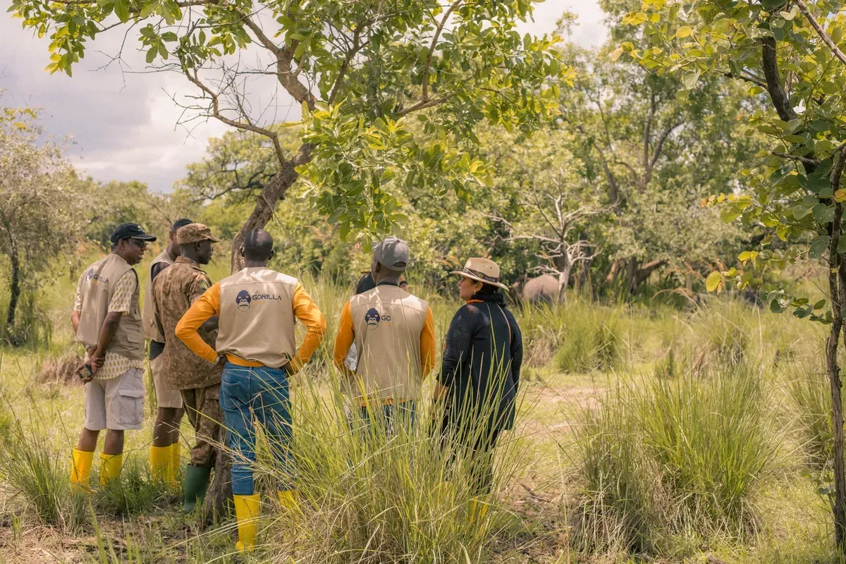 Rhino Tracking Experience