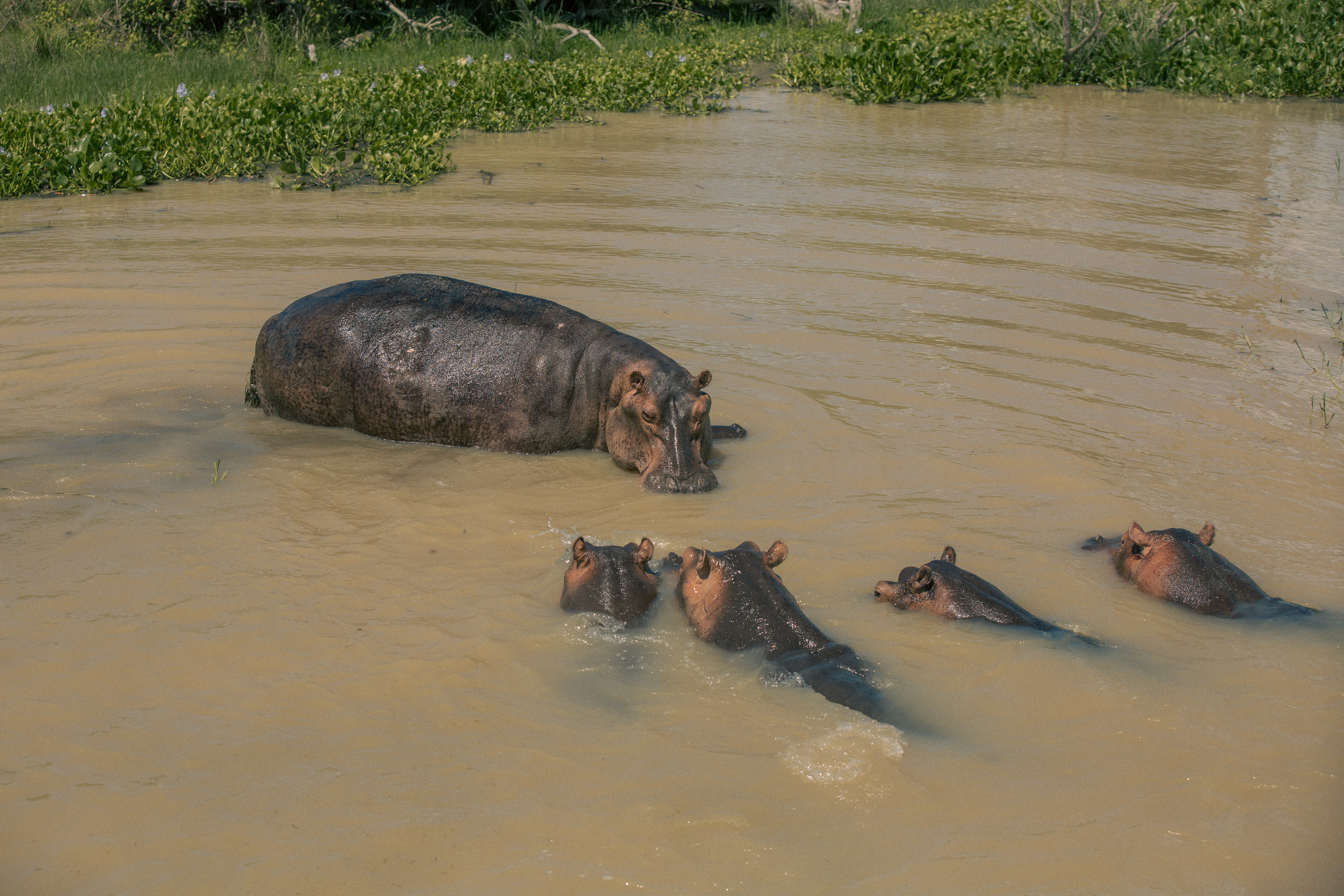 East Africa Grand Expedition