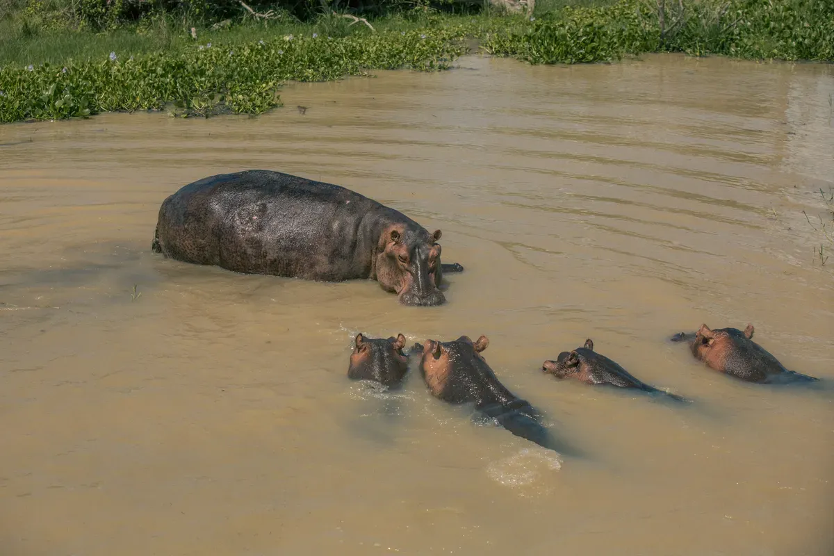 East Africa Grand Expedition